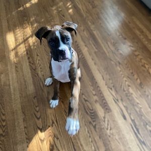 Meet your Posher, Kourtney